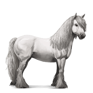 cal de călărit mustang murg închis