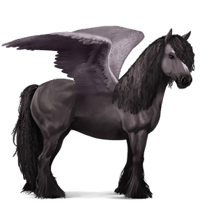 pegas de călărit gypsy vanner  murg bălţat