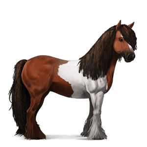 cal de călărit quarter horse sur