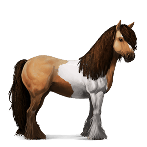 cal de călărit paint horse murg închis bălțat