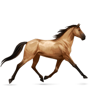 cal de călărit tennessee walker Șarg
