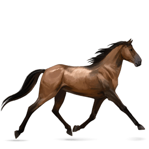 cal de călărit mustang murg închis