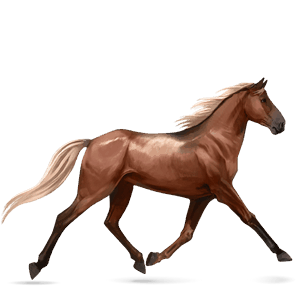 cal de călărit tennessee walker murg