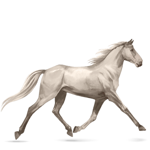 cal de călărit tennessee walker negru