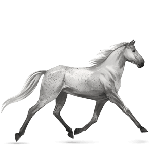 cal de călărit tennessee walker murg deschis