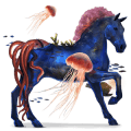 ponei unicorn fjord brunblakk
