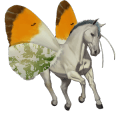 unicorn de călărit albinos