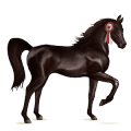 cal de călărit tennessee walker murg închis