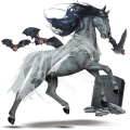 cal de călărit mustang sur rotat