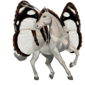 ponei unicorn pacomira 