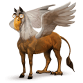 ponei welsh Șarg
