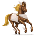 cal nomad hermes