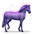 calul curcubeului devoted indigo