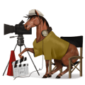 cal nomad regizor