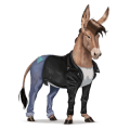 cal de călărit mustang dereş