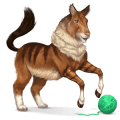 cal sălbatic maine coon