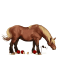pegas de călărit mustang isabelle spotted blanket