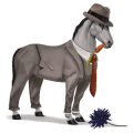 cal nomad poliţist