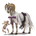 ponei haflinger pacomira 