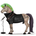 cal de călărit gypsy vanner  roib bălţat