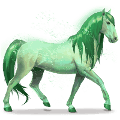 calul curcubeului forest green
