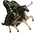 cal de tracţiune cal drum murg