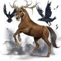cal de călărit paint horse murg închis pătat