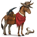 ponei welsh roib