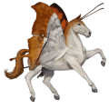 cal de călărit quarter horse isabel