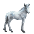 cal divin greyfell   1
