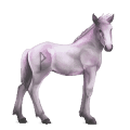 cal divin greyfell   5