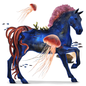 cal de călărit shagya arabian sur