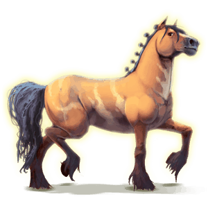 cal divin arion