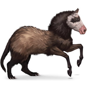 petferret